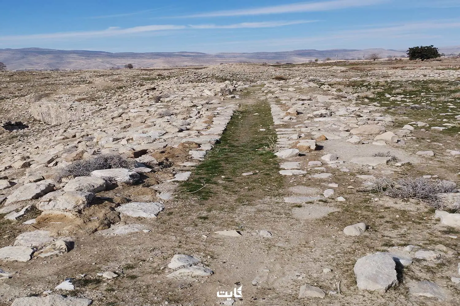 نمای شهر گور