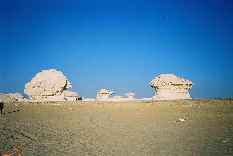 بیابان فارافرا