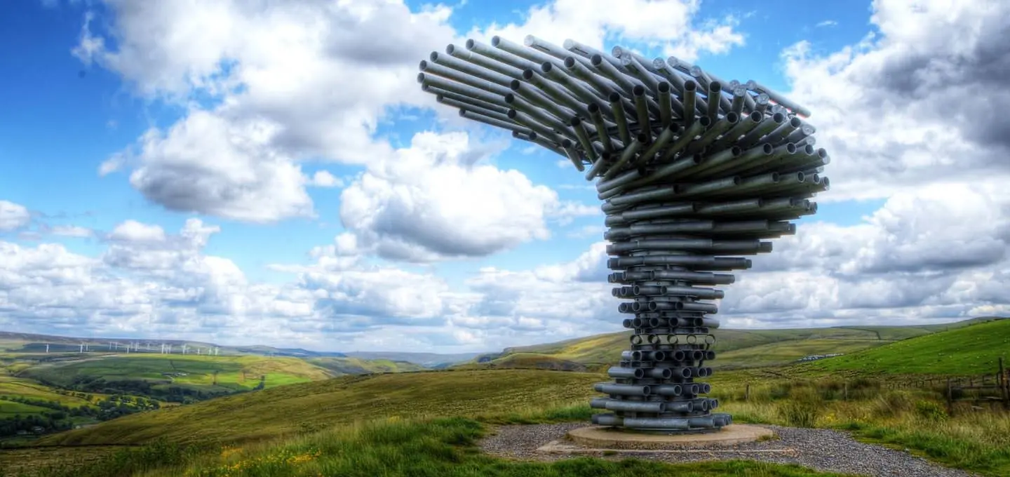 درخت آوازخوان (Singing Ringing Tree)