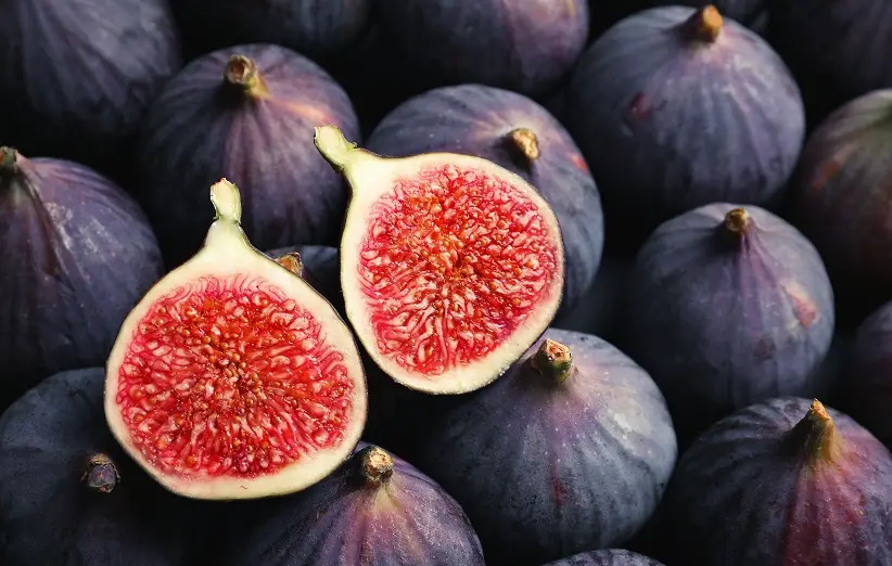 figs-7