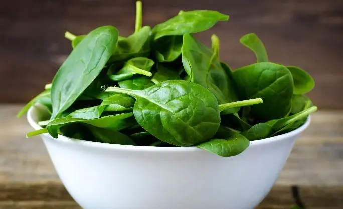 spinach-4