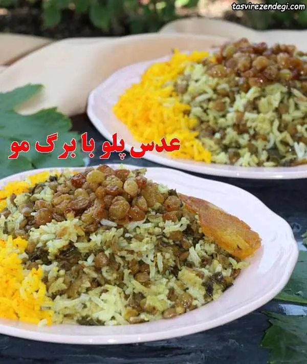 عدس پلو با برگ مو