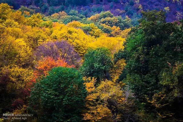 آلنگ دره در گلستان 