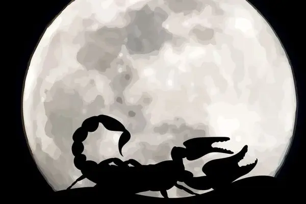 روزهای قمر در عقرب 1404 | در آذر ماه چه روزهایی قمر در عقربه؟