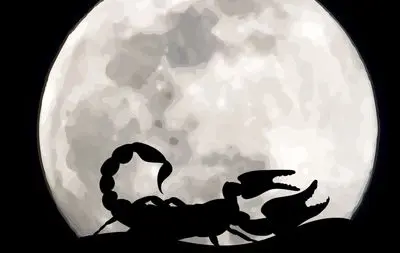 روزهای قمر در عقرب 1404 | در بهمن ماه چه روزهایی قمر در عقربه؟