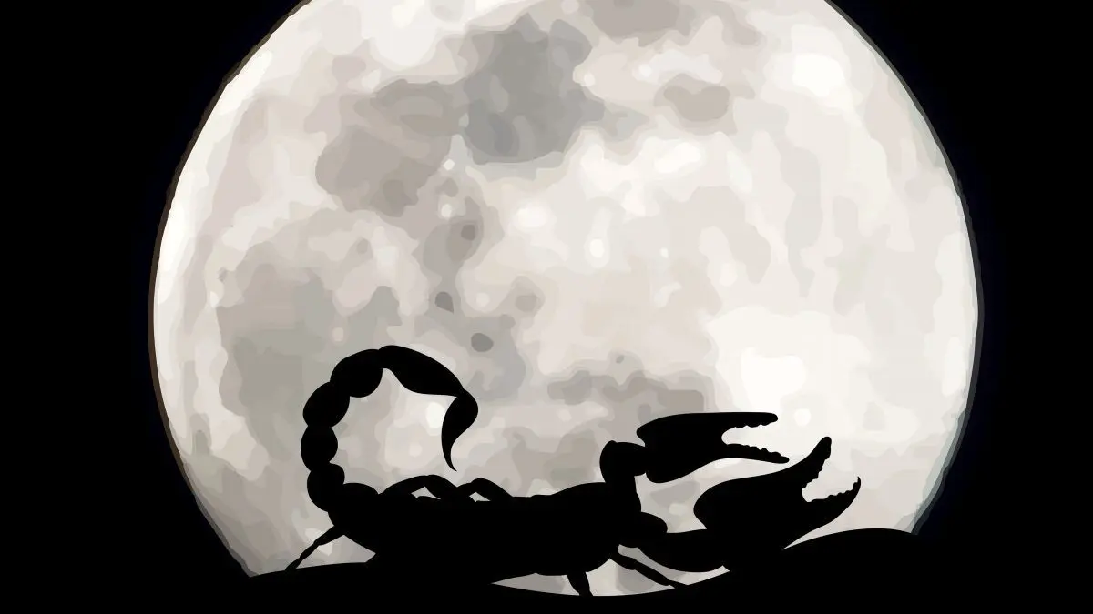 روزهای قمر در عقرب 1404 | در آذر ماه چه روزهایی قمر در عقربه؟