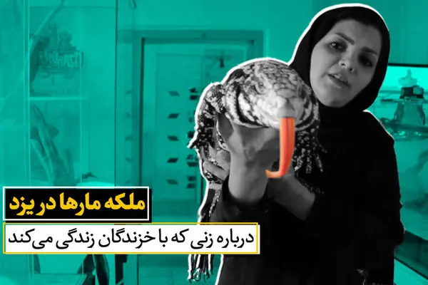 (ویدیو) اولین زن ایرانی که با مار، تمساح و عقرب زندگی میکنه!