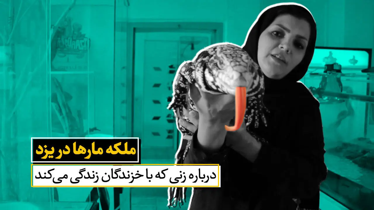 (ویدیو) اولین زن ایرانی که با مار، تمساح و عقرب زندگی میکنه!