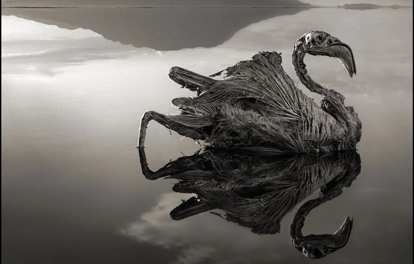 این دریاچه مرموز موجودات زنده رو به مومیایی تبدیل میکنه! + دلیل