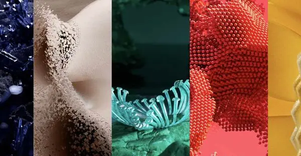 راهنمای انتخاب و ترکیب رنگ‌ های ترند لباس پاییز 2025 برای خانم‌ ها و آقایان