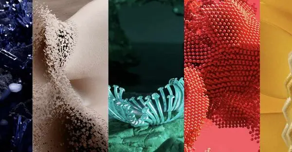 راهنمای انتخاب و ترکیب رنگ‌ های ترند لباس پاییز 2025 برای خانم‌ ها و آقایان