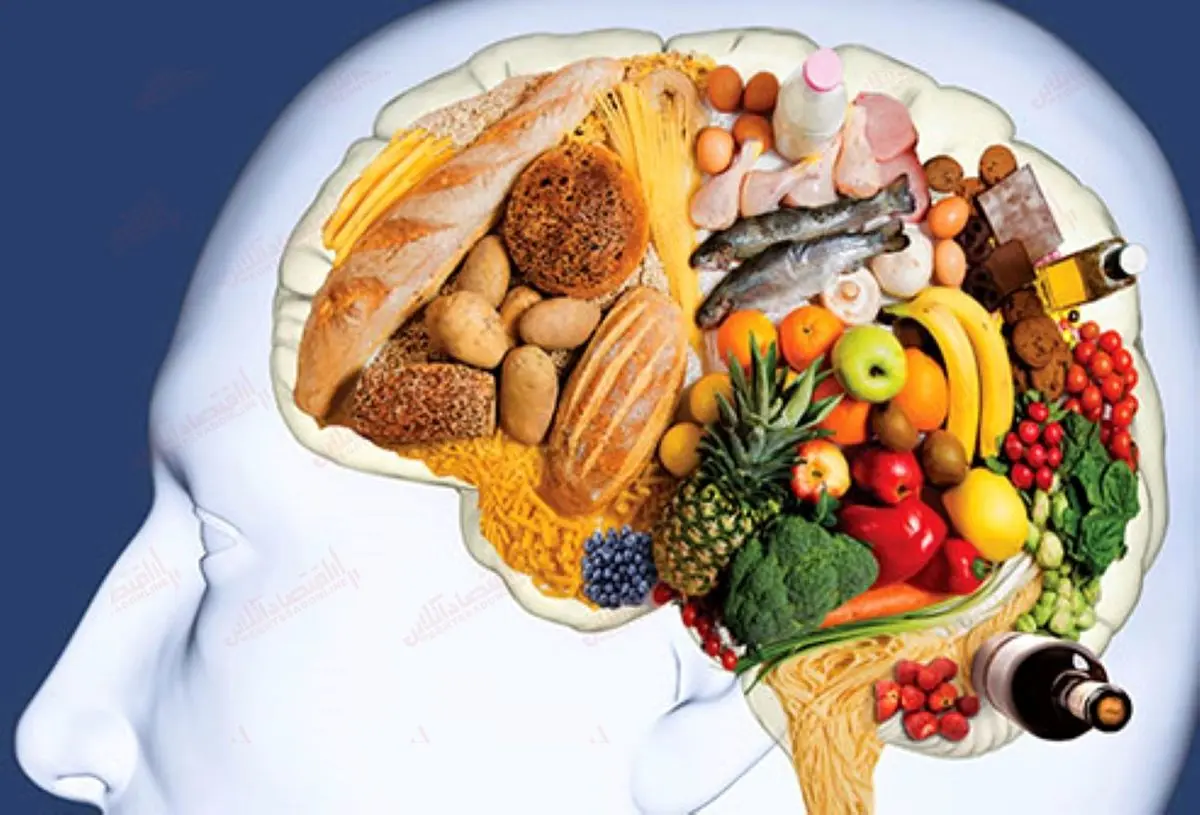 7 ماده غذایی معجزه آسا برای داشتن هوش بالاتر + توضیحات 