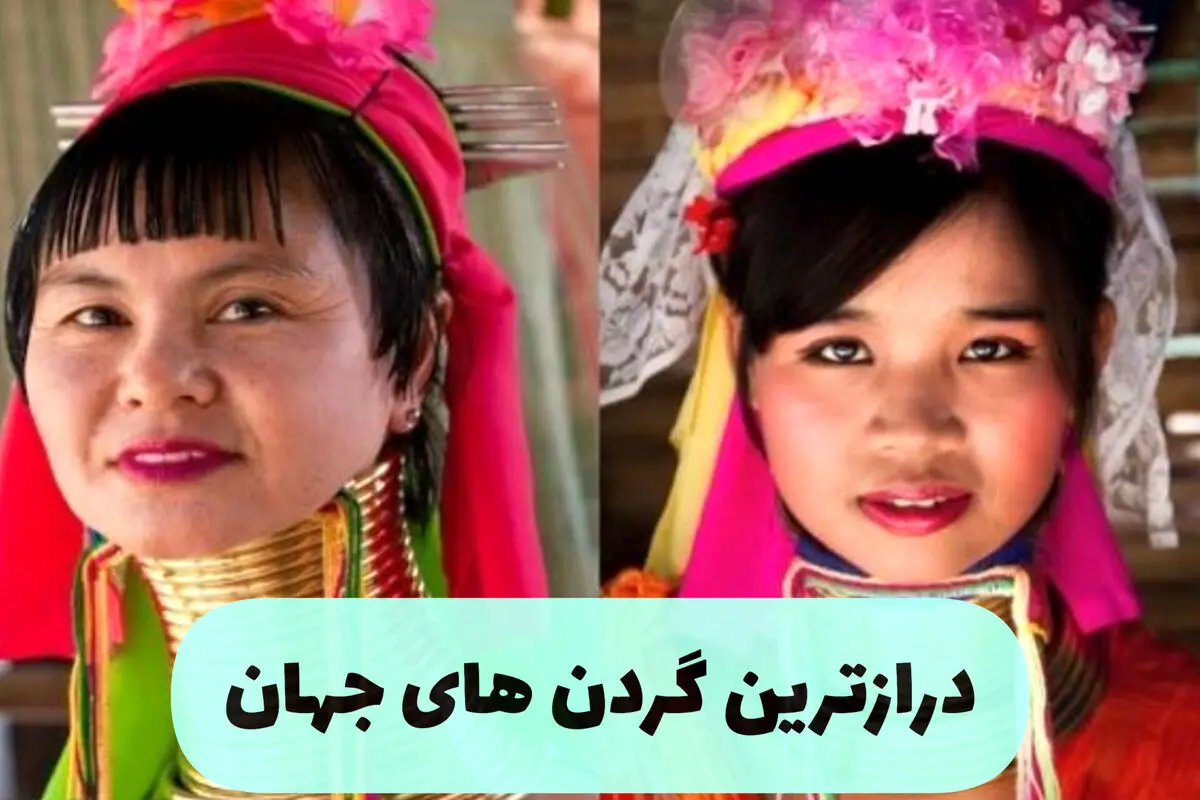 درازترین گردن های دنیا