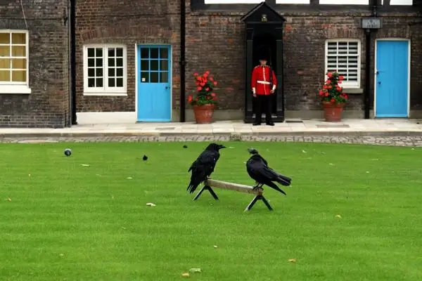 برج لندن؛ ترسناک ترین قلعه بریتانیا پر از شبح و اسرار