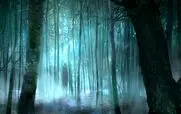 جنگل جیغ؛ ترسناک ترین جنگل دنیا با ثبت رکورد گینس!