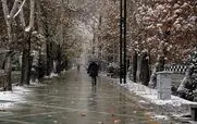 پیش‌ بینی هواشناسی ۱۷ دی 1403 | این استان‌ ها برفی می‌ شوند 