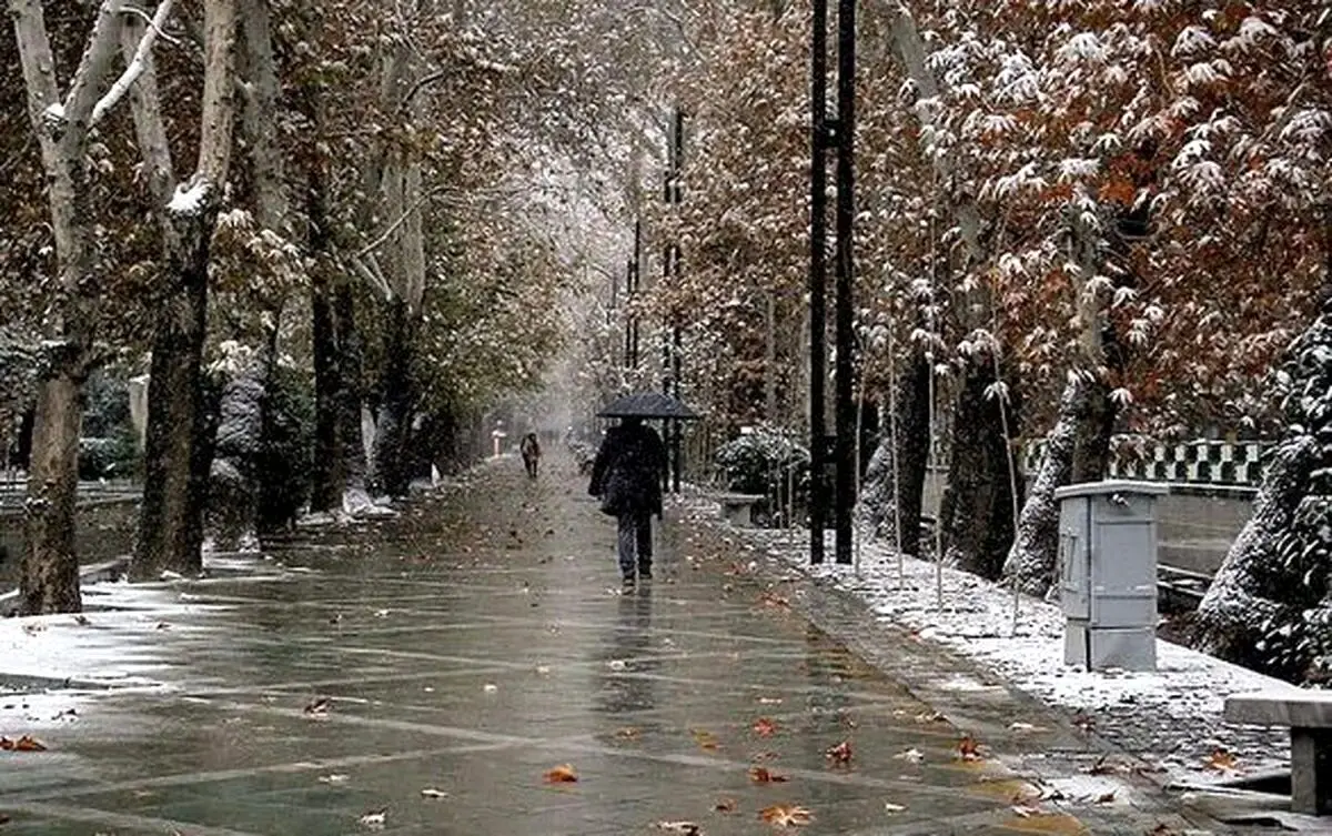 پیش‌ بینی هواشناسی ۱۷ دی 1403 | این استان‌ ها برفی می‌ شوند 