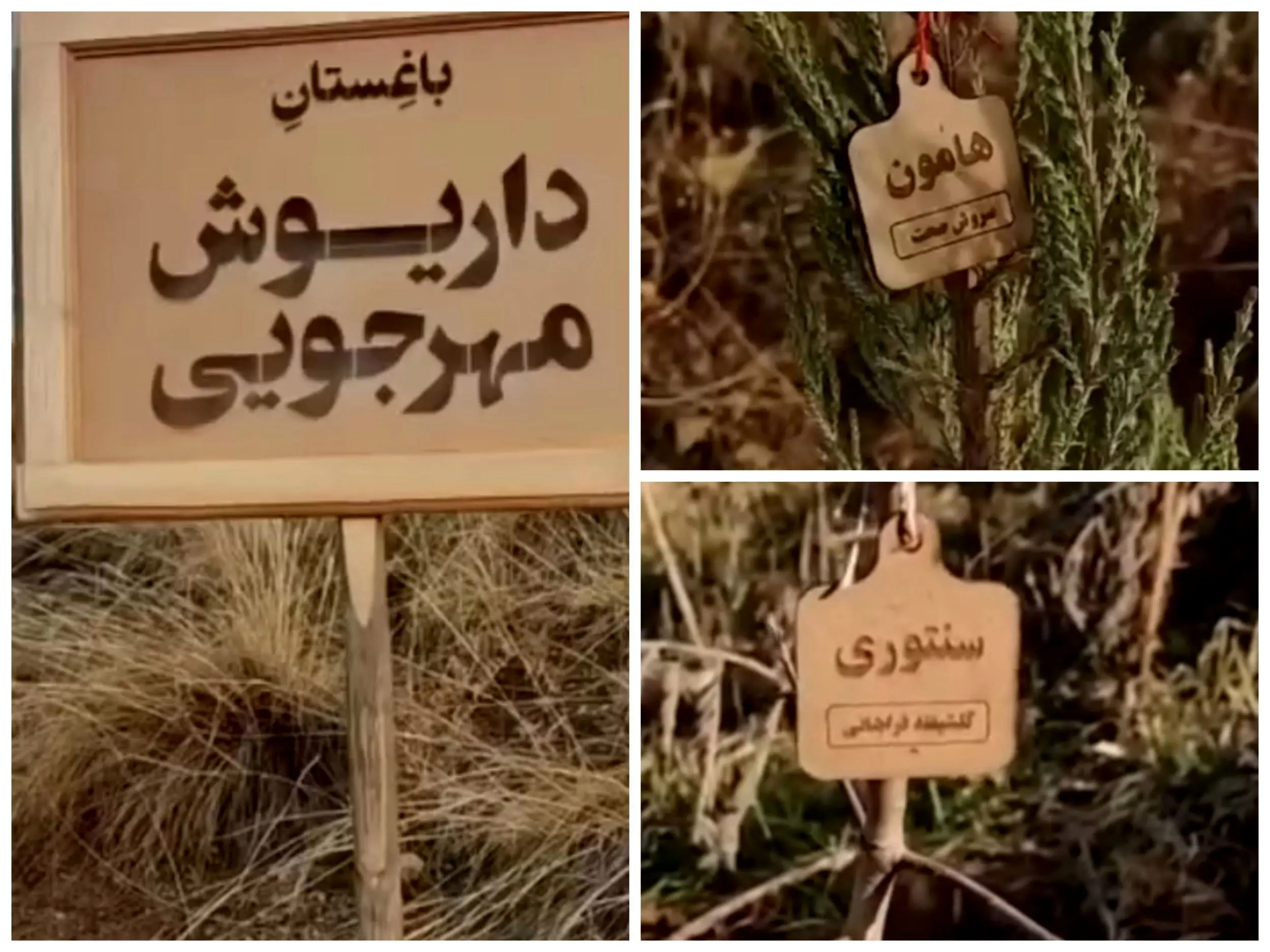 هدیه خاص بازیگران مشهور به مناسبت زادروز داریوش مهرجویی + فیلم