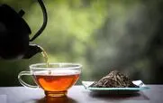 معرفی 10 چای معروف دنیا | شیرین ترین چای های جهان کدامند؟