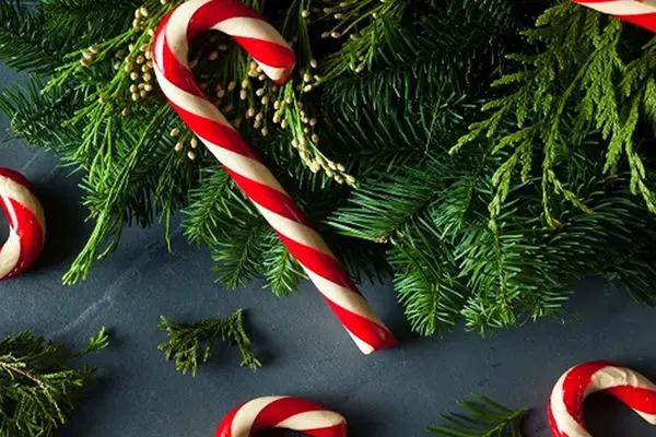 شیرینی های سنتی کریسمس؛ 6 دستور ساده و خوشمزه + مواد لازم