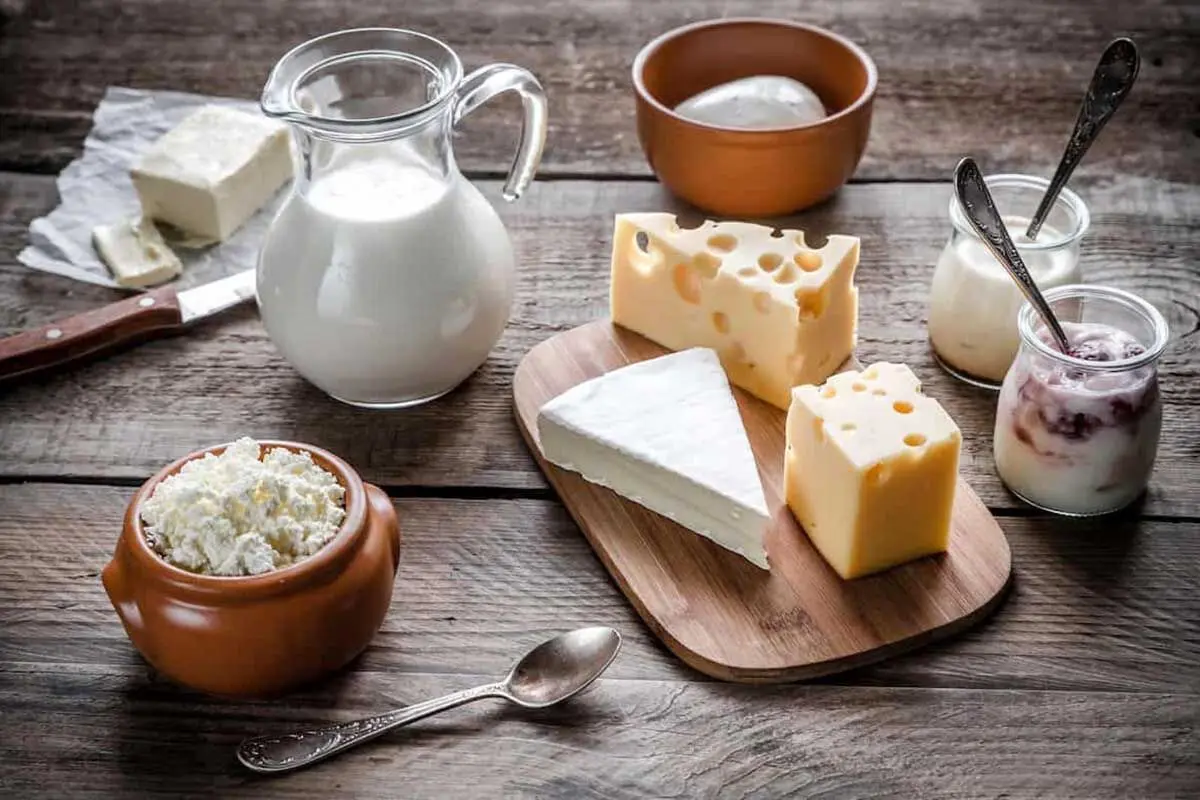 قیمت جدید محصولات لبنی 