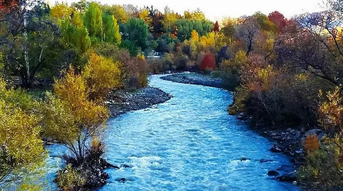 سفر یک روزه