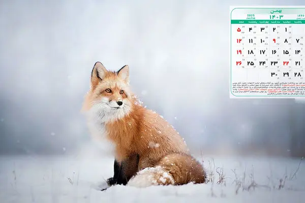 تقویم تعطیلی و مناسبت های بهمن ماه 1403 | تعطیلات رسمی بهمن 1403