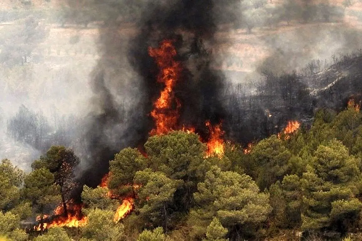 غمگین ترین ویدیوی امروز: ناله حیوانات در آتش جنگل‌ های لرستان!