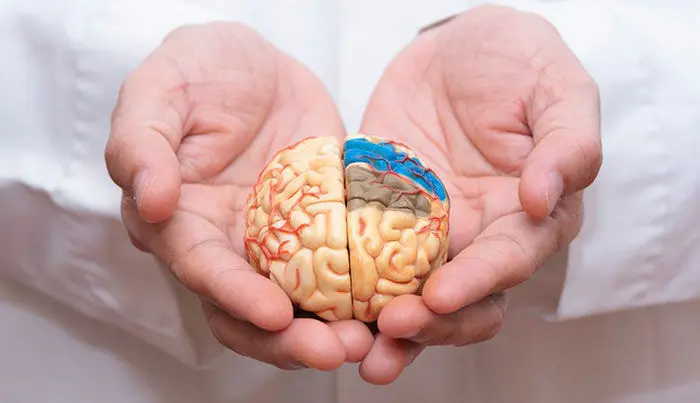 10 شغلی که باعث میشه آلزایمر بگیرین! + دلیل 