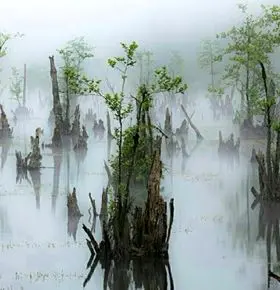 دریاچه ارواح؛ ترسناک ترین دریاچه نوشهر + لوکیشن دقیق