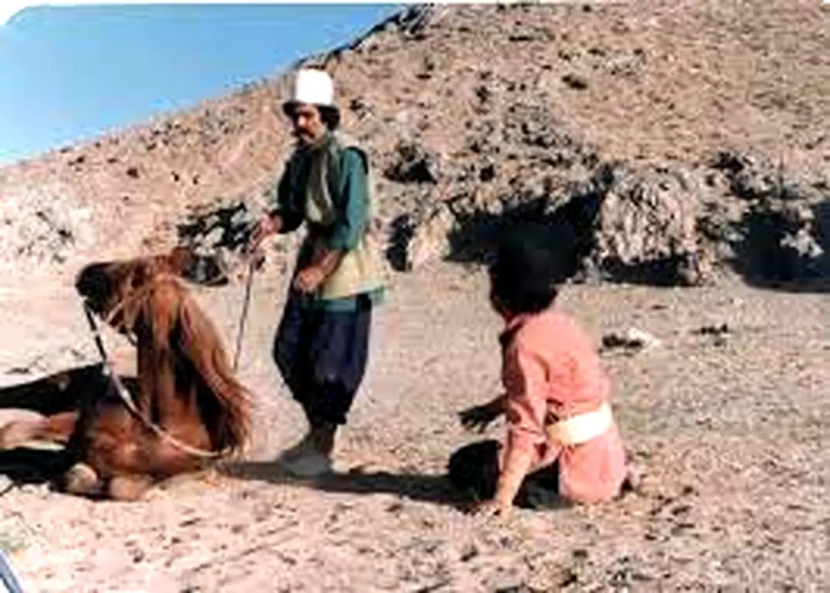 عکس اصلی