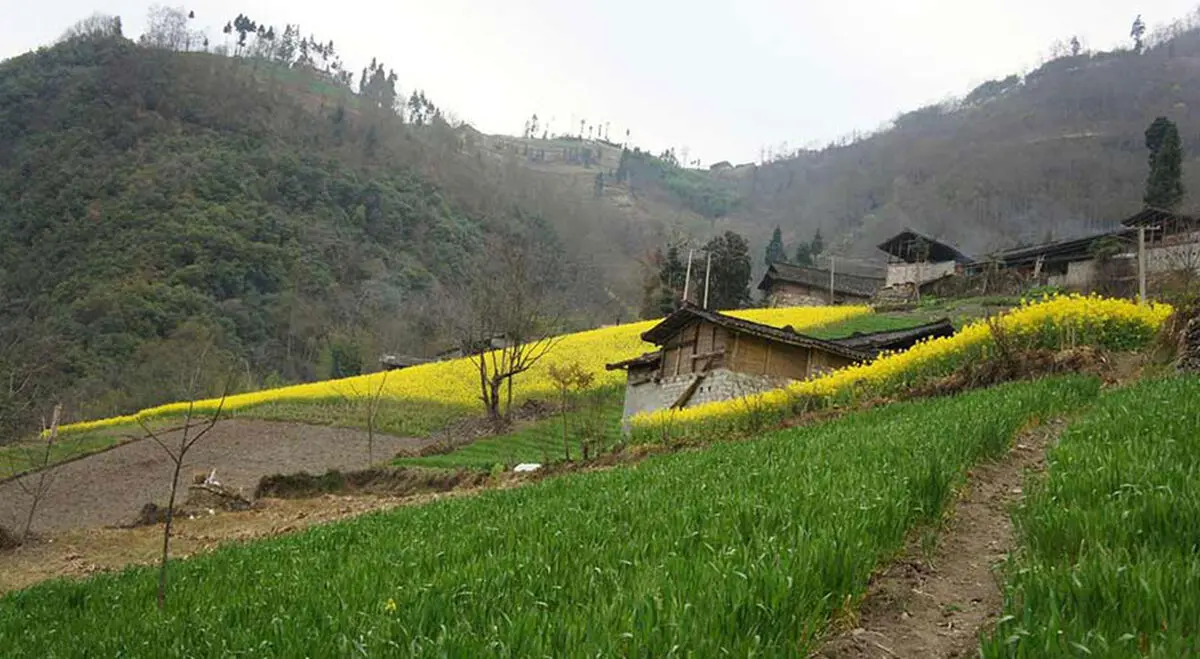 روستای زرگر قزوین