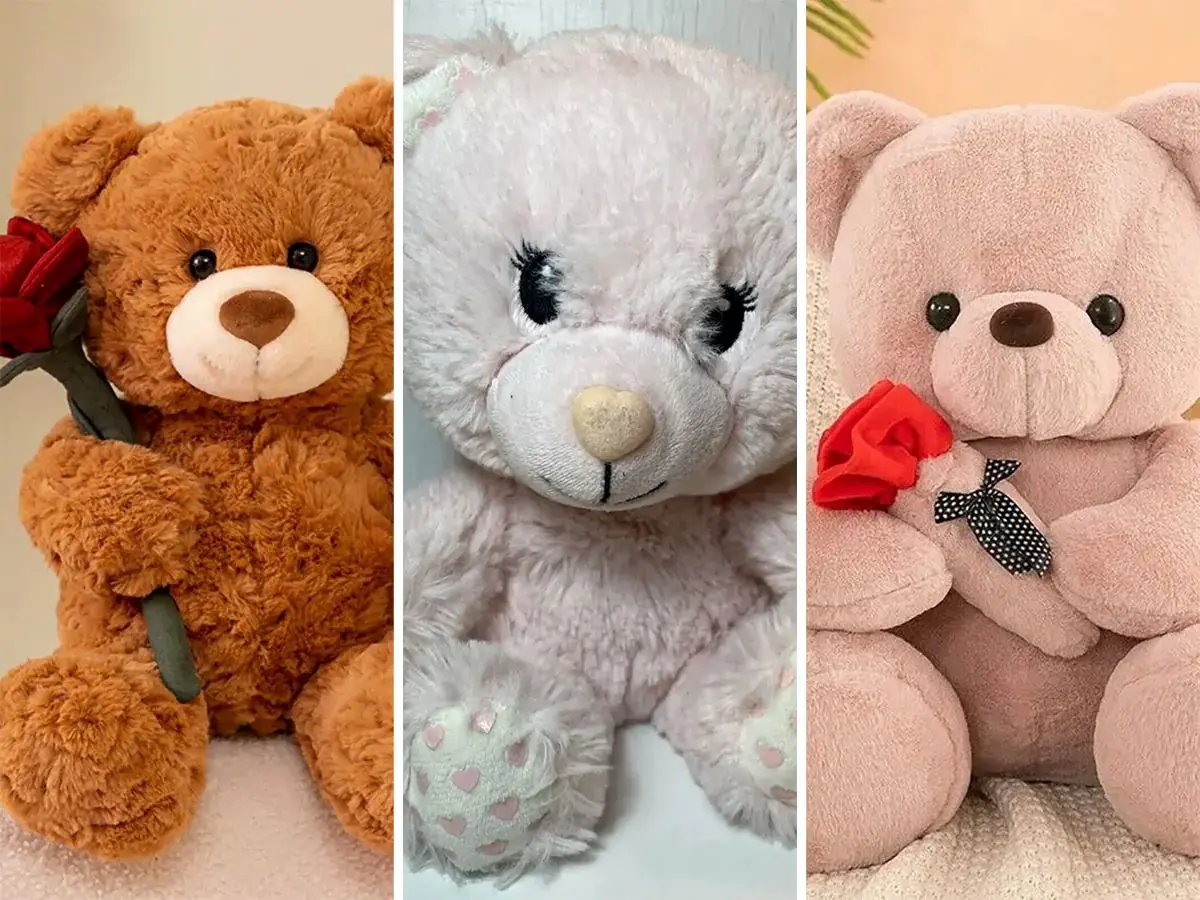 دلایل انتخاب خرس عروسکی ولنتاین