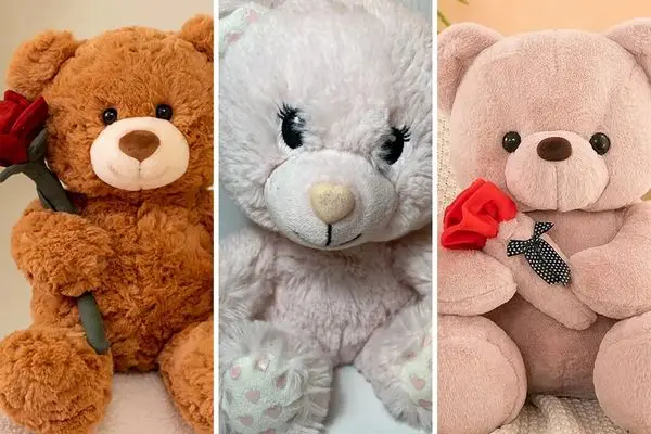 معنی خرس عروسکی  ولننتاین چیه + دلایل محبوبیت آن