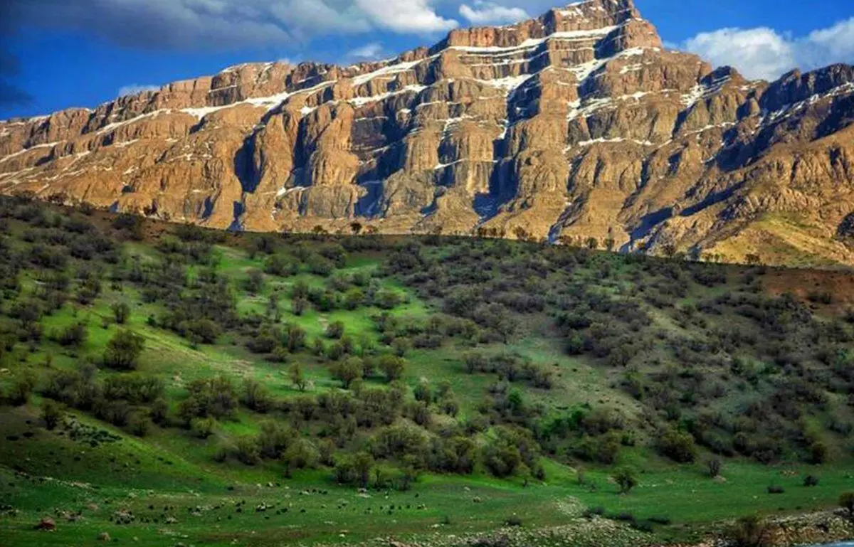 آلپ ایران