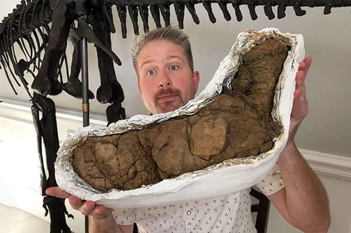 بزرگترین مدفوع باستانی