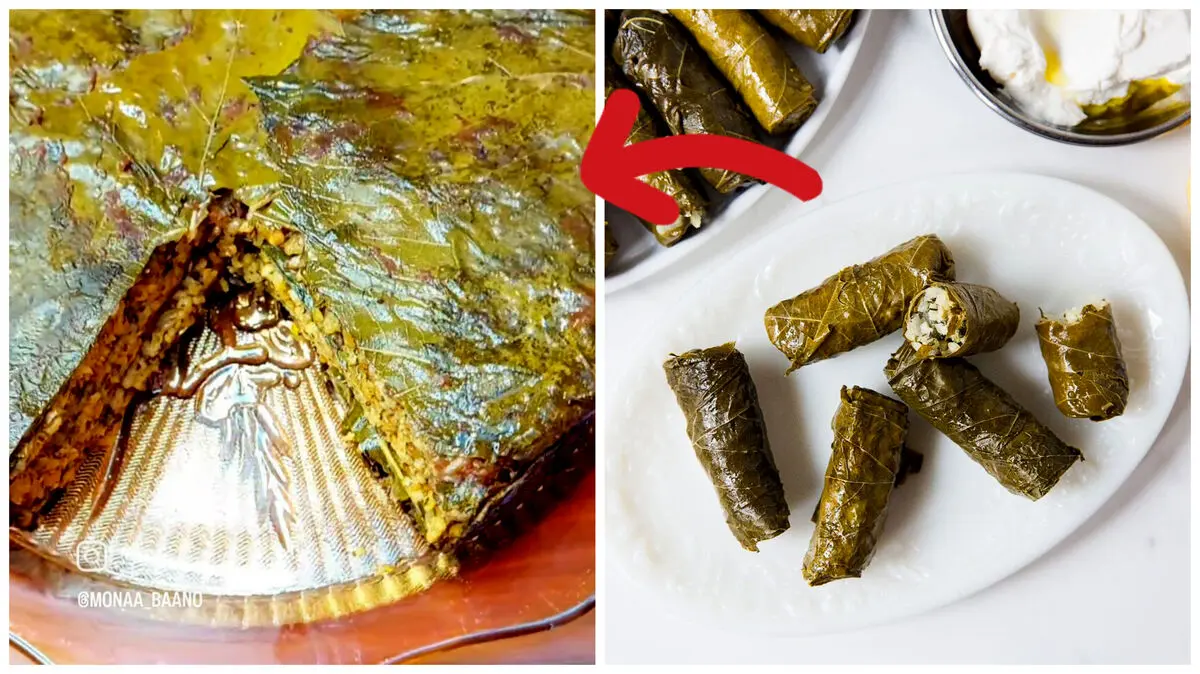 دلمه برگ مو