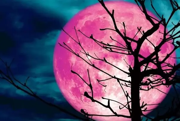 ماه صورتی خرداد ماه 1404؛ همه چیز درباره این پدیده نادر آسمانی